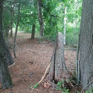 Meet your Posher, Rita